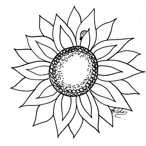 draw  sunflower sunflower drawing sunflower stencil