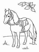 Cavalo Desenho Cavalos Atividade Poplembrancinhas sketch template