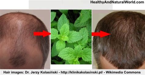 how to use peppermint essential oil for hair growth