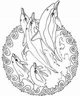 Coloring Pages Mandala Animals Printable Animal Print Mandalas Para Adult Dolphin Kleurplaat Animales Colorear Previus Next Dolphins Dieren Adults Mouse sketch template