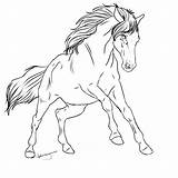 Lineart Kuda Sketsa Mane Kimbokah Halter Poni Kepala Stallion Insertion sketch template