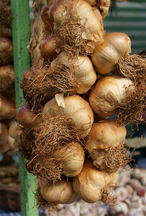 bol van gerookt knoflook op houten oppervlakte met pers stock foto image  kruidnagel