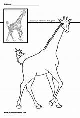 Girafe Taches Maternelle Graphisme Fiche Afrique Zoo Savane Zebre Sauvages Girafes Africaine Moyenne Giraf Thème Tâches Continents Vlekken Dessiner Exercices sketch template