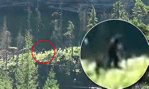 hiking couple claim new footage shows bigfoot out for a walk in the