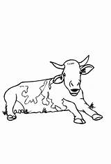 Colorare Vacas Mucche Disegni Cartonionline sketch template