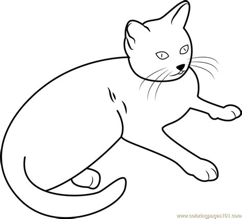 cat sitting   coloring page  kids  cat printable