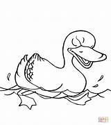 Coloring Duck Swimming Pages Ducks Drawing Printable Silhouettes sketch template