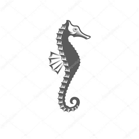 ilustración vectorial de caballitos de mar en blanco y negro vector de