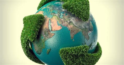 O Que é Sustentabilidade Ambiental Conceito E Exemplos Significados