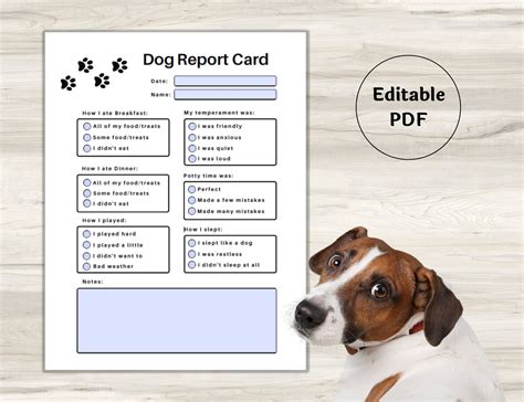 printable dog daycare report card template