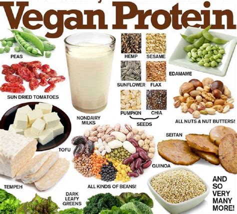 10 Super Healthy And High Protein Foods That Vegans Should