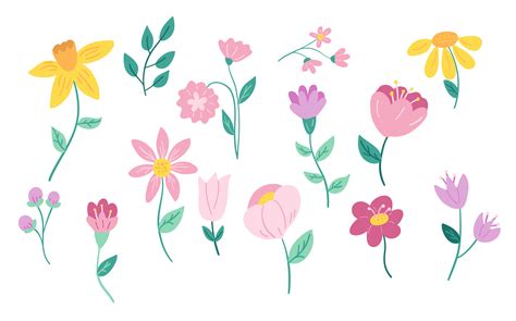 drawing vector flowers illustrating simple florals  adobe draw