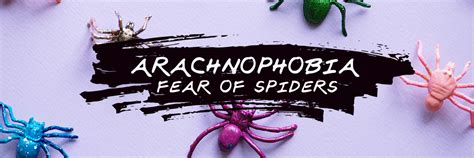 Arachnophobia Fear Of Spiders And How To Overcome It