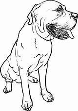 Mastiff English Drawing Dog Sitting Pose Illustrations Background sketch template