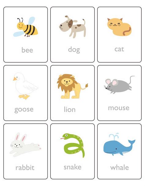 printable animal flash cards  month  activities baby activities