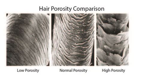 porous   hair  ringlets