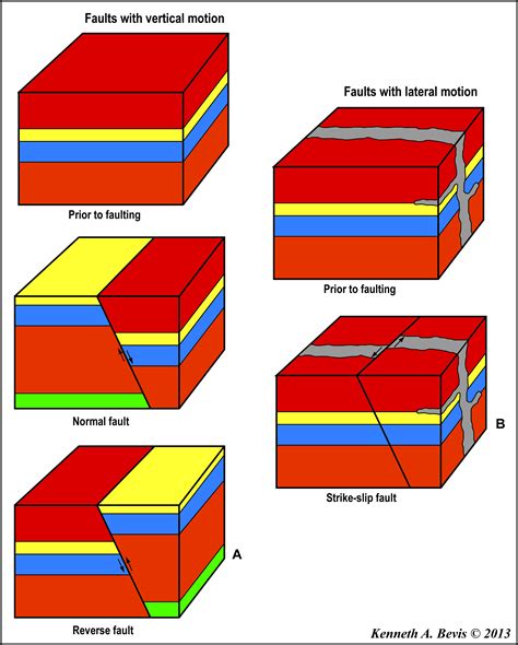 principal types  faults normal  reverse faults result  vertical offsets