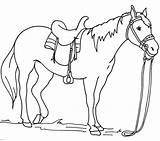 Horse Coloring Pages Dressage Getcolorings Getdrawings sketch template