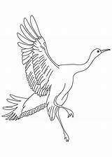 Crane Flying Cranes Bestcoloringpagesforkids sketch template