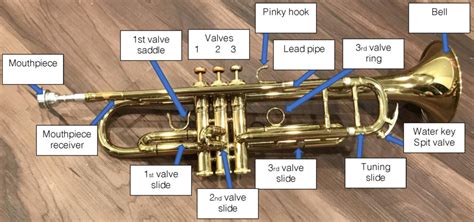 trumpet brass techniques  pedagogy