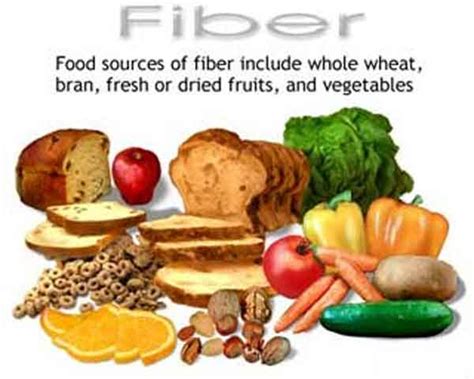dietary fiber roughage fiber dietary