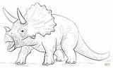 Colorare Disegni Triceratopo Triceratop Disegnare sketch template