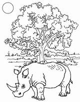 Rinoceronte Rinocerontes sketch template