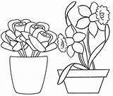 Pot Flower Coloring Pages Fresh Flowers Artfully Decorated sketch template