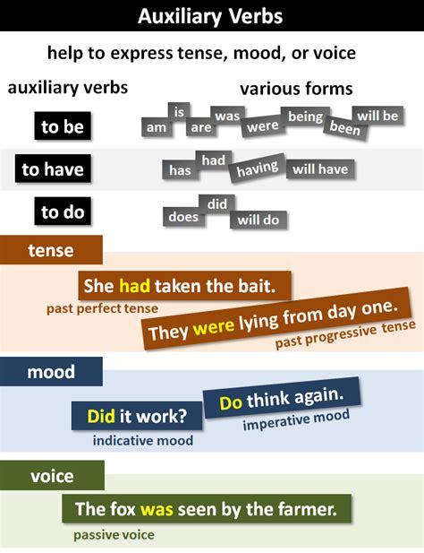 auxiliary verbs explanation  examples