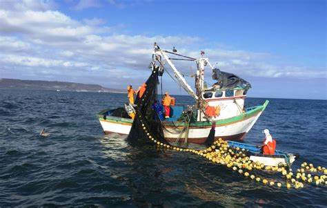 ley  de  por medio de la cual se establecen medidas en contra de la pesca ilegal