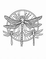 Coloring Dragonfly Adults Pages Dragonflies Adult Stamp Digital sketch template
