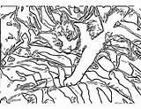 Coloring Pages Camouflage Camo Pattern Getcolorings Printable sketch template