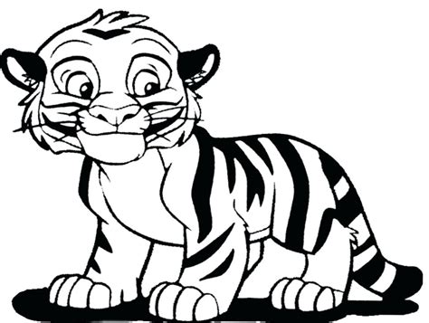 tiger drawing outline  getdrawings