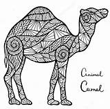 Zentangle Camel sketch template