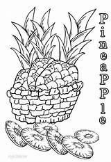 Pineapple Coloring Pages Kids Printable Sheets Cool2bkids Sheet Pineapples Choose Board sketch template