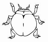 Coloring Beetle Pages Kids Bug sketch template