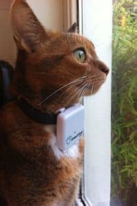 tractive gps tracker voor kat  hond consumentenbond