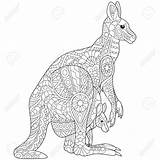 Coloring Wallaroo Erwachsene Kangaroo Adult Mandala Gemerkt Shareasale Von Australien Ausmalbilder Tiere Ausmalen 53kb 450px sketch template
