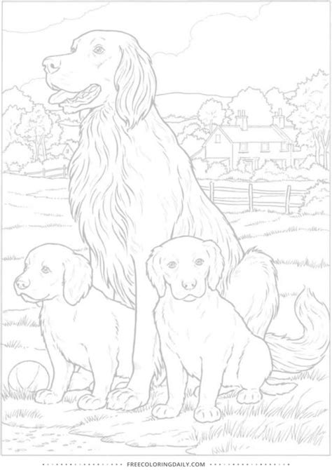 adorable dogs coloring sheet  coloring daily