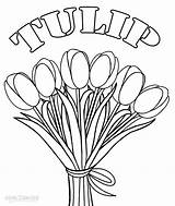 Tulip Coloring Pages Flower Tulips Plant Printable Flowers Kids Drawing Cool2bkids Vase Basil Color Print Experiment Science Getdrawings Applique Getcolorings sketch template