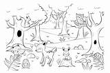 Foret Colorear Bosque Animali Malvorlage Waldtiere Bosco Foresta Wald Forêt Esistmeins Ausmalbild Malvorlagen Dessine Monetiquette Bosques sketch template