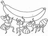 Coloring Ants Lifting Ant Together Banana Pages Three Work sketch template