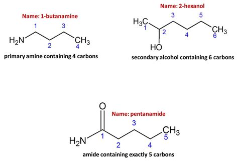solved draw  molecule   criteria    primary amine