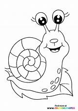 Snail Snails sketch template