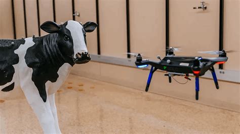 drones  checking cattle  top brands review staaker