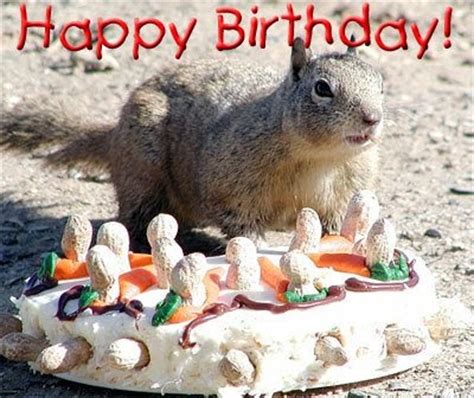 squirrel tales happy birthday kevin