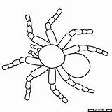 Coloring Tarantula Pages Color Thecolor Pets Drawing Kids Zentangle Gif Halloween Pet sketch template