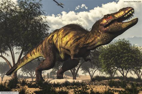 cretaceous period dinosaurs list  dinosaurs   cretaceous period