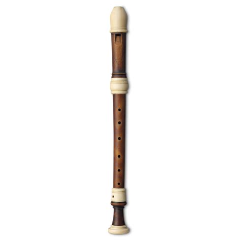 recorder recorder facts  kids dk find