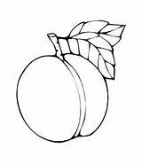 Coloring Peach Getcolorings Peaches sketch template